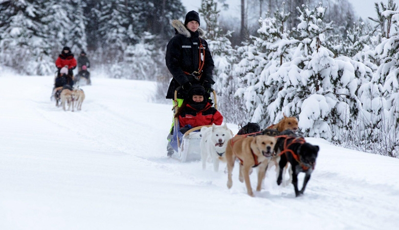 Fins Lapland - De ultieme winterexperience 