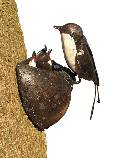 Tuinbeeld zwaluwnest