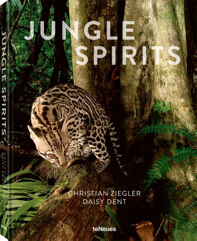 Jungle Spirits (revised edition)