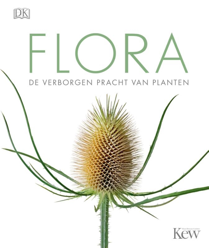 Flora