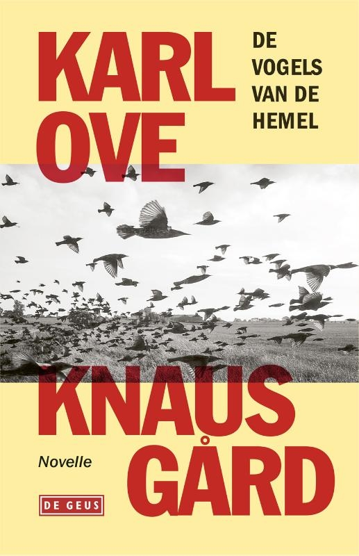 De vogels van de hemel