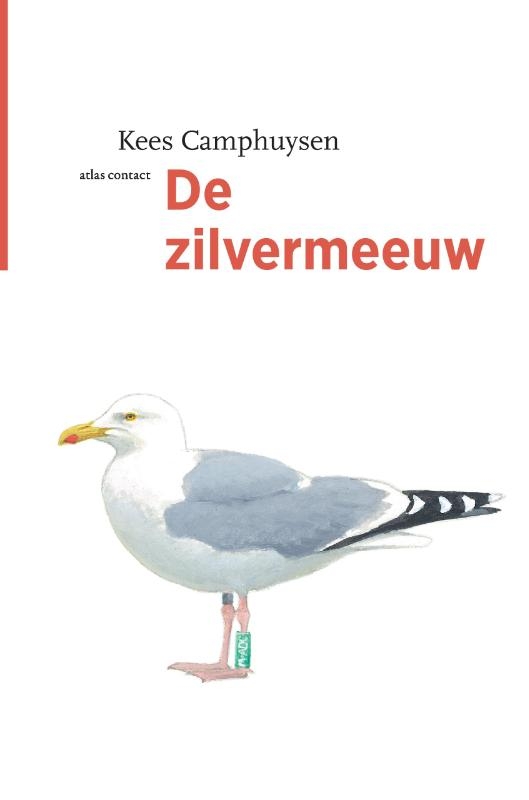De zilvermeeuw