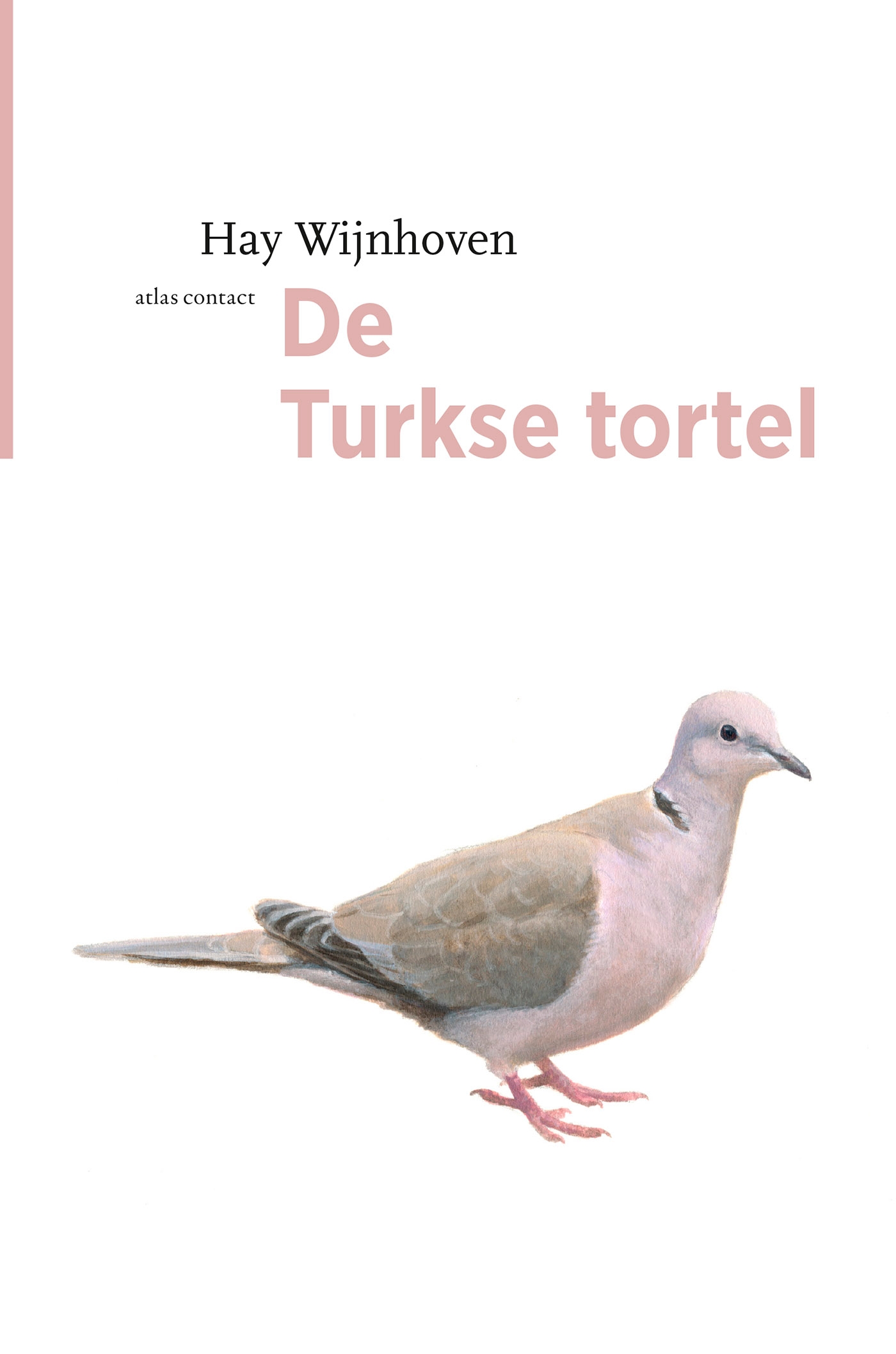 De Turkse tortel