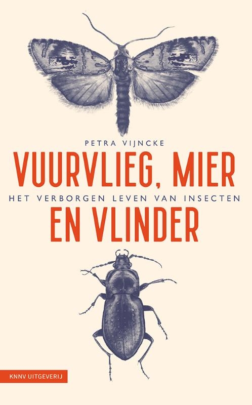 Vuurvlieg, mier en vlinder