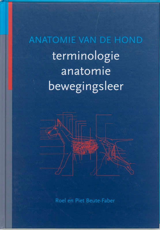 Anatomie van de hond