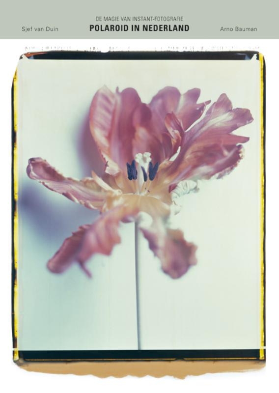 Polaroid in Nederland