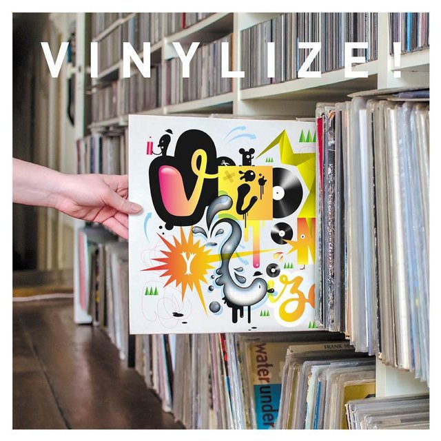 Vinylize