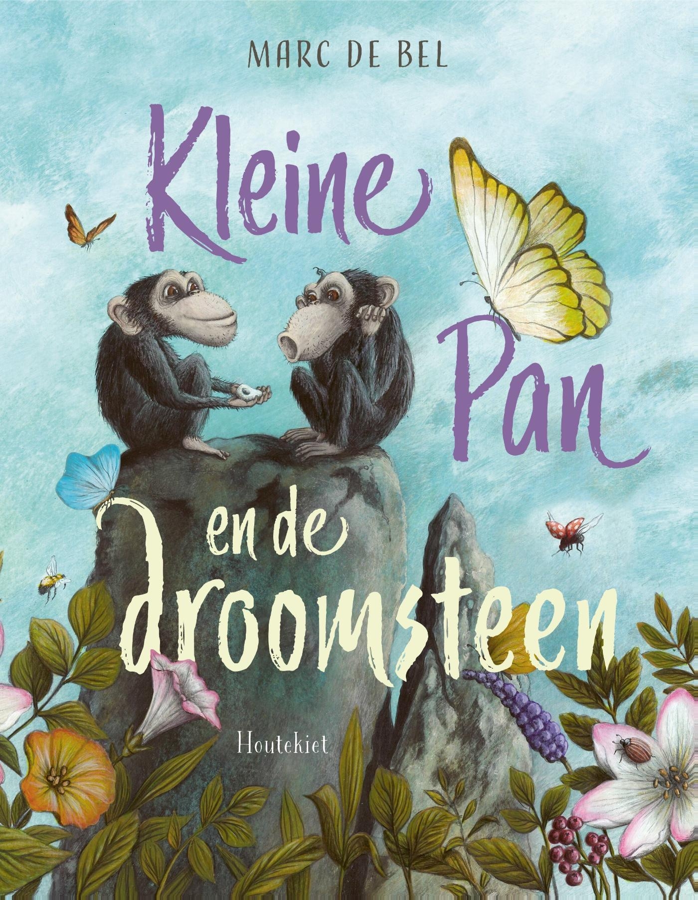 Kleine Pan en de droomsteen