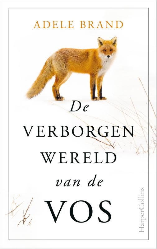 De verborgen wereld van de vos