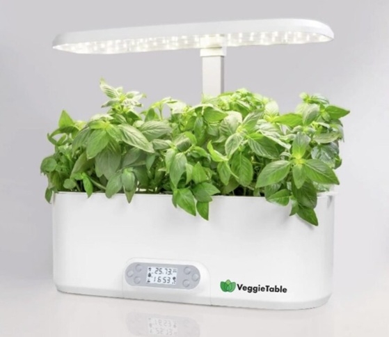 Indoor planten kweekset