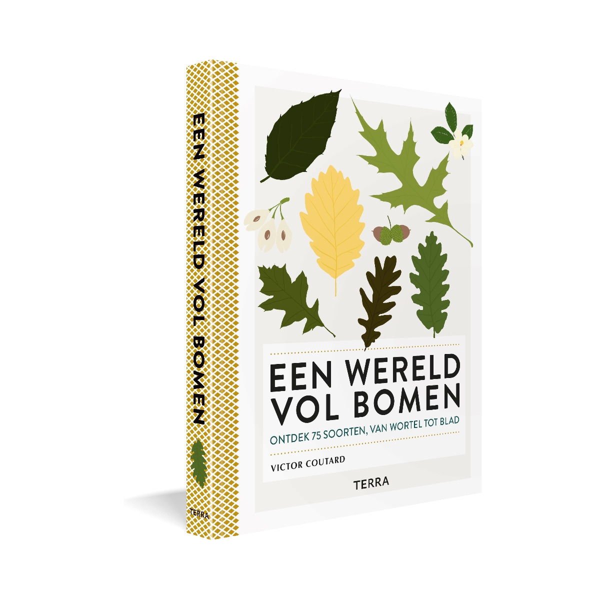 Een wereld vol bomen
