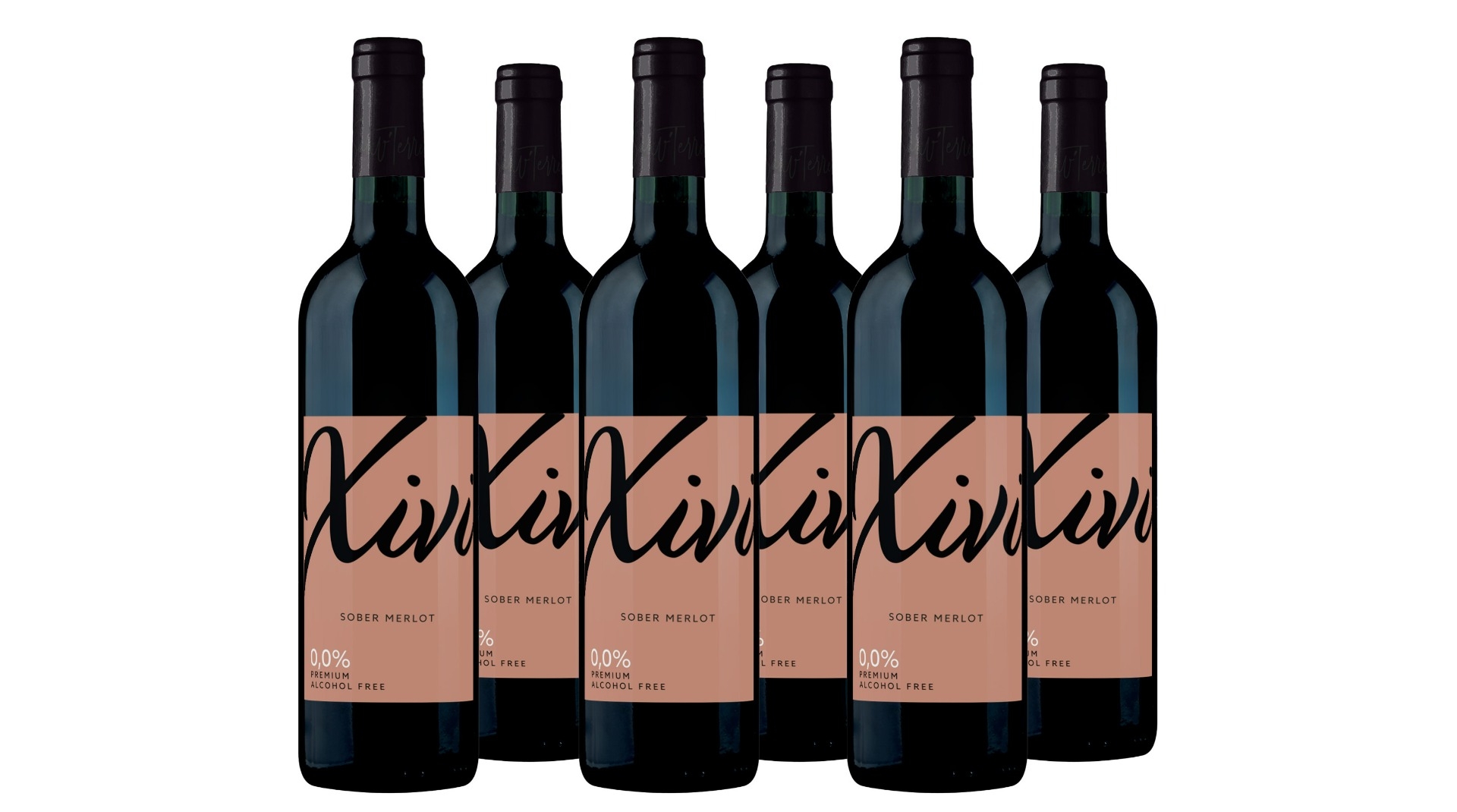 Franse finesse: fruitige Merlot (6 flessen)